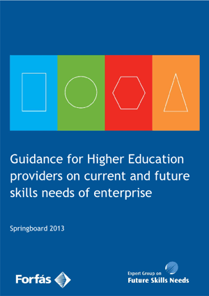 Guidance for Higher Education Providers on Current and Future Skills Needs of Enterprise: Springboard 2013