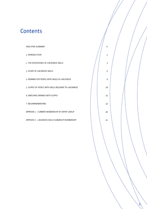 Report on eBusiness Skills