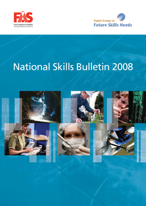 National Skills Bulletin 2008